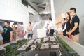 Visit Qianhai free trade zone construction planning landscape