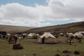 visit to nomadic settlement, with tents and animals in the background