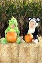 Visit to a Pumpkin Patch Royalty Free Stock Photo