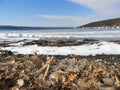 A winter walk along the shore of Cayuga Lake