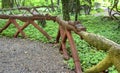 Cute fence in Bruno Weber park