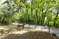 Visiting Bussolengo prehistoric park, Verona, Italy