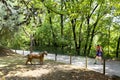 Visiting Bussolengo prehistoric park, Verona, Italy