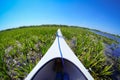 Visiting Danube Delta in a canoe Royalty Free Stock Photo