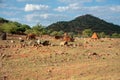 Epupa, Namibia - 08 may 2018 visit to a remote himba village