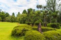 Visiting the local garden inside of Nijo Castle