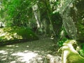 Visiting Moorish castle or castelo dos mouros in Sintra Portugal Royalty Free Stock Photo