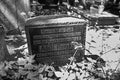 Old gravestone from before World War II. Artistic look in black Royalty Free Stock Photo