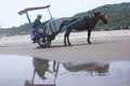 Visitor activities on the beach