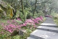 Visitor climb the stone steps on mountain road of qingyuanshan mountain, adobe rgb