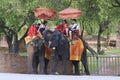 Visitor riding elephant back in Ayuthaya province central of Thailand Royalty Free Stock Photo