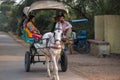 Visitor riding in a horse cart in Keoladeo Ghana National Park,