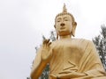 Huge beautiful golden Buddha statue Royalty Free Stock Photo