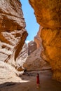 Visitor in Tianshan Grand Canyon in sunny day Royalty Free Stock Photo