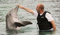 A Visitor to Dolphinaris, Arizona, Interacts with a Dolphin