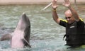 A Visitor to Dolphinaris, Arizona, Interacts with a Dolphin