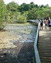 Visitors at Chek Jawa