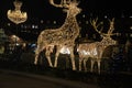 Visitors at Christmas market at Kongen nytorv Copenhagen