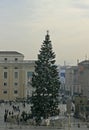 Visitors and Christmas Tree in Vatican Square