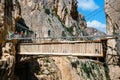 Visitors crossing the suspension bridge at Gaitanes Gorge, Malaga, Spain