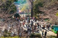 Visitors enjoy cherry blossom (Sakura) in Ueno Park, Tokyo, Japan