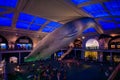 Visitors enjoying the interior of American Museum of Natural History's Milstein Hall of Royalty Free Stock Photo