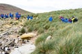 Tourists watch black-browed albatrosses - family Diomedeidae -  with rockhopper penguins on cliffs on New Island, Falkland Islands Royalty Free Stock Photo