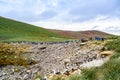 Tourists watch black-browed albatrosses - family Diomedeidae - with rockhopper penguins on cliffs on New Island, Falkland Islands