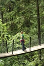 Visitors exploring the Capilano Suspension Bridge in Capilano Park Treetops Adventure.