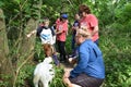 Visitors feed goat