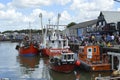 Visitors fill the harbour to sample oysters at the Whitstable Oyster Festival Royalty Free Stock Photo