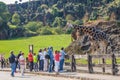 Giraffes in Cabarceno Wildlife Park in Spain