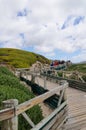 Visitors going to visit African penguins colony.