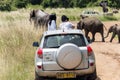 Visitors on jeep shoot wild elephants crossing the road