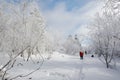 The visitors Jilin rime Royalty Free Stock Photo