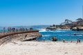 Visitors at the La Jolla Children`s Pool Royalty Free Stock Photo