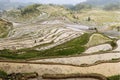 Visitors leisure in the mountains, farmers farming in the terraced fields