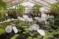 Ethereal White Persian Pond by artist Dale Chihulyat Kew Gardens.