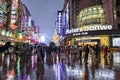 Visitors at Nanjing Road, Shanghai