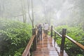 Visitors on nature trail bridge in thick fog