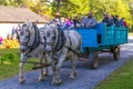 Visitors in Old Farm Wagon