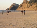 Visitors at The Oregon Coast at Land`s End/Lincoln City Royalty Free Stock Photo