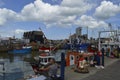 Visitors sit by the harbour to sample oysters at the Whitstable Oyster Festival