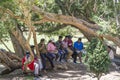 Visitors sitting on the tree the beautiful park at Nuwara Eliya town