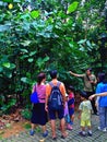 Visitors studying plants in forest