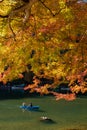 Visitors take in the colors of autumn along the Hozu-gawa River in Kyoto while riding a wooden boat