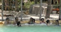 Visitors take a mineral water bath at I -Resort, Nha Trang, Vietnam Royalty Free Stock Photo