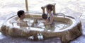 Visitors take a mud bath and have fun at I -Resort, Nha Trang, Vietnam.