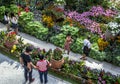 Visitors to the Gardens by the Bay in Singapore admire the beautiful plant display.