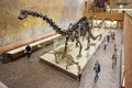 Visitors to the Palentology Museum look at dinosaur skeletons